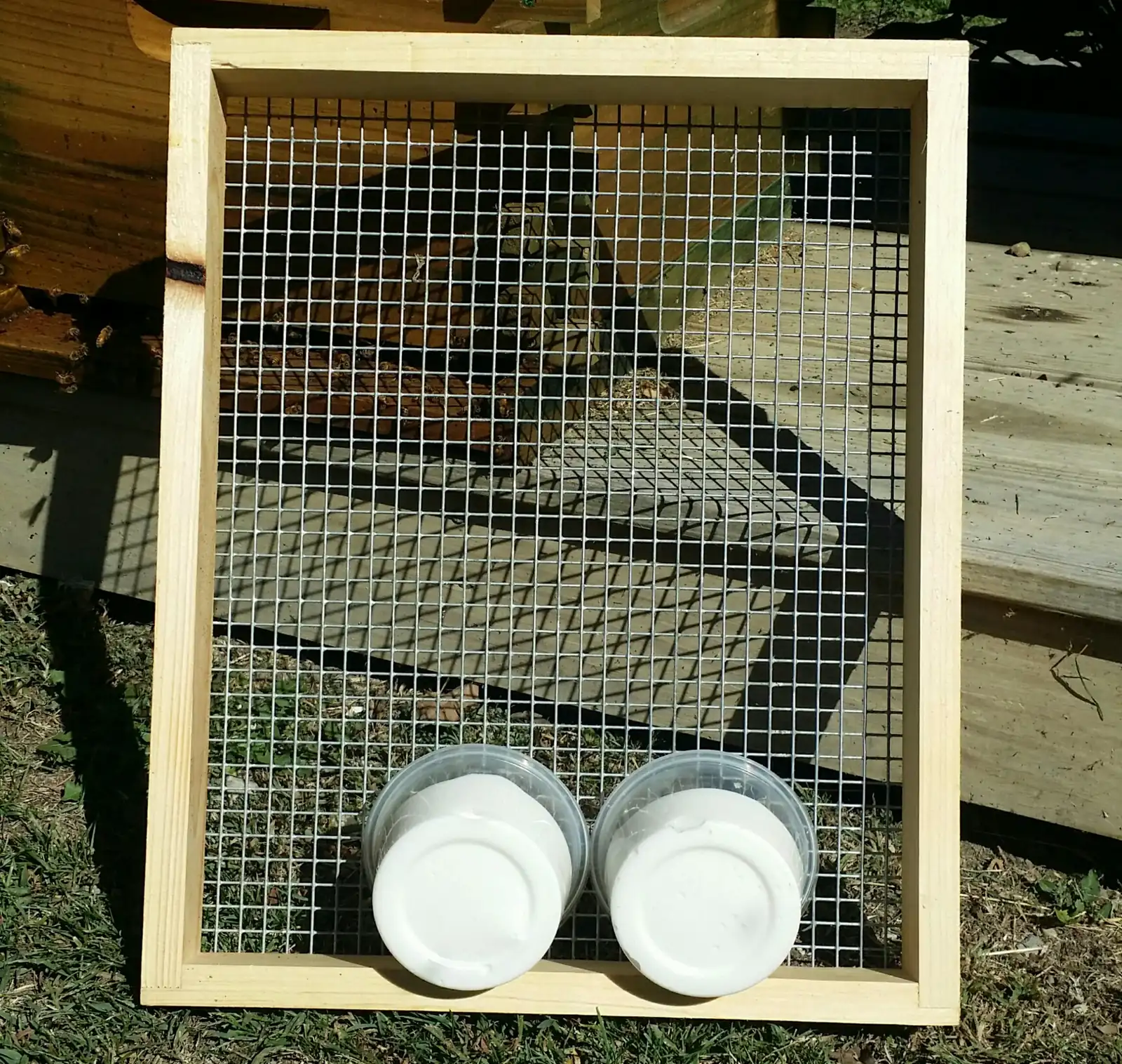 Wooden candy board frame fitted with wire mesh, with two white cups at its lower edge
